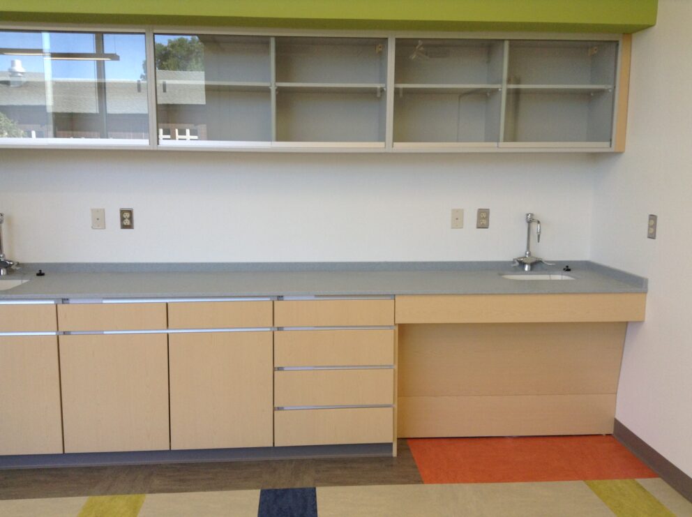 DDA-Compliant Lab Solutions - Accessible Wall Workstation