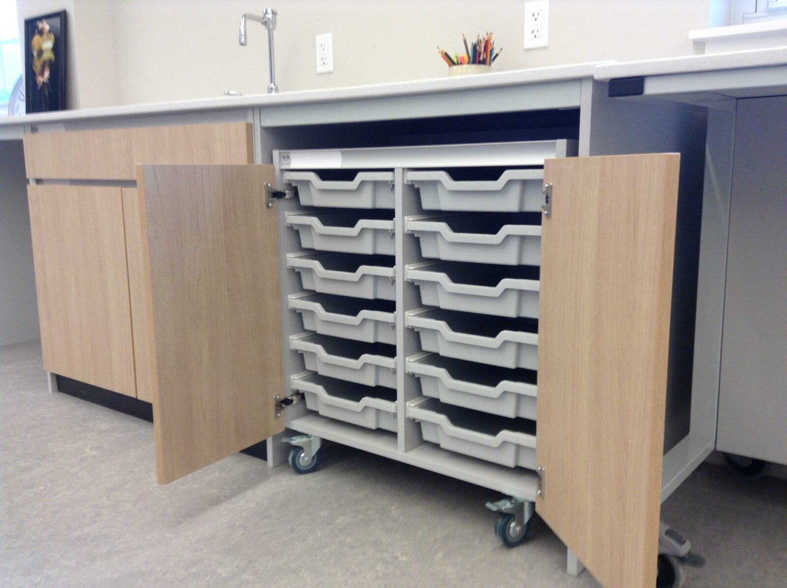 5 Practical Ideas to Maximize Lab Storage in Schools - S+B